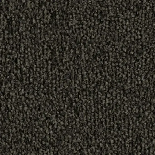 Vorwerk Safira Teppichboden Farbcode 9G21 – Draufsicht ohne Etikett